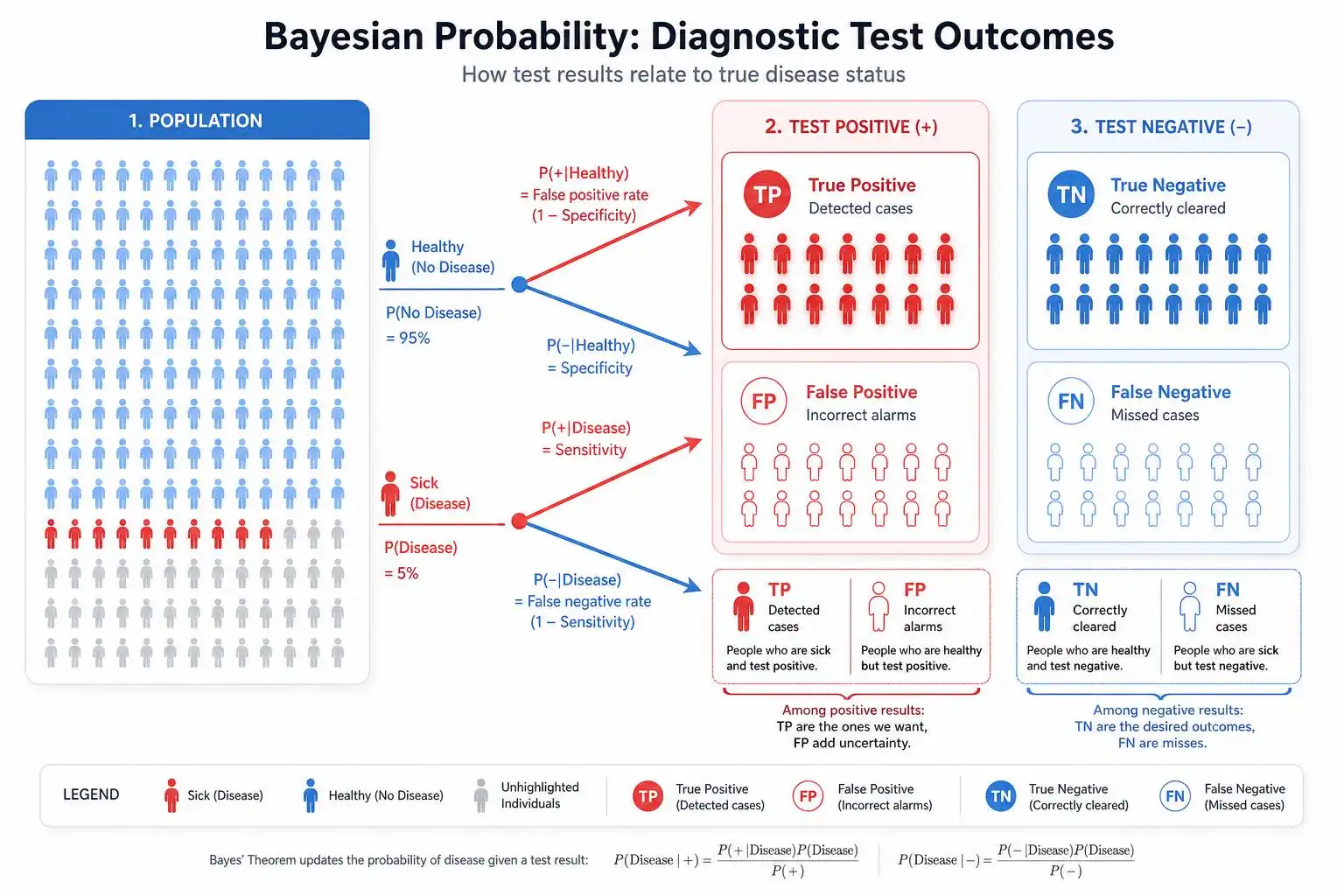 The Probability Puzzle Behind Every Medical Test (And Why a Positive Result Isn’t What You Think)